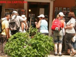 CinqueTerre2007.JPG