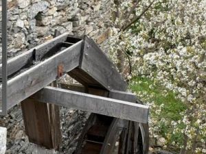 Giornata dell'Assemblea 12 aprile 2025